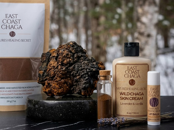 Wild Harvested Chaga